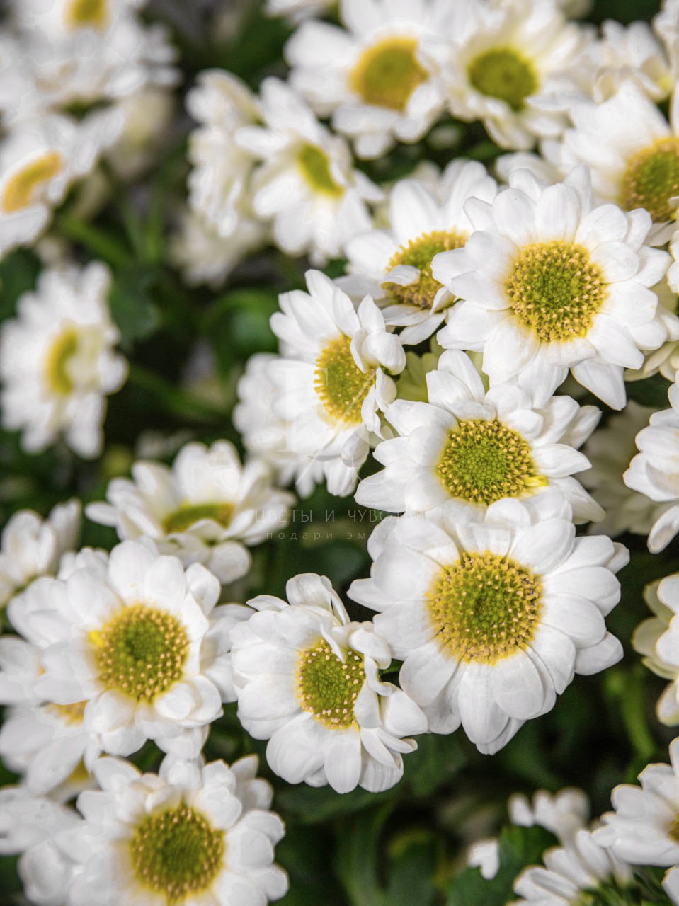 a9820db2-7ba5-4cfd-933b-89fa2a86216f