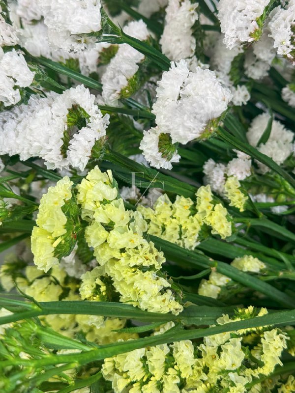 5f8fbe55-6e67-4cd8-8adf-62bd03fa921c