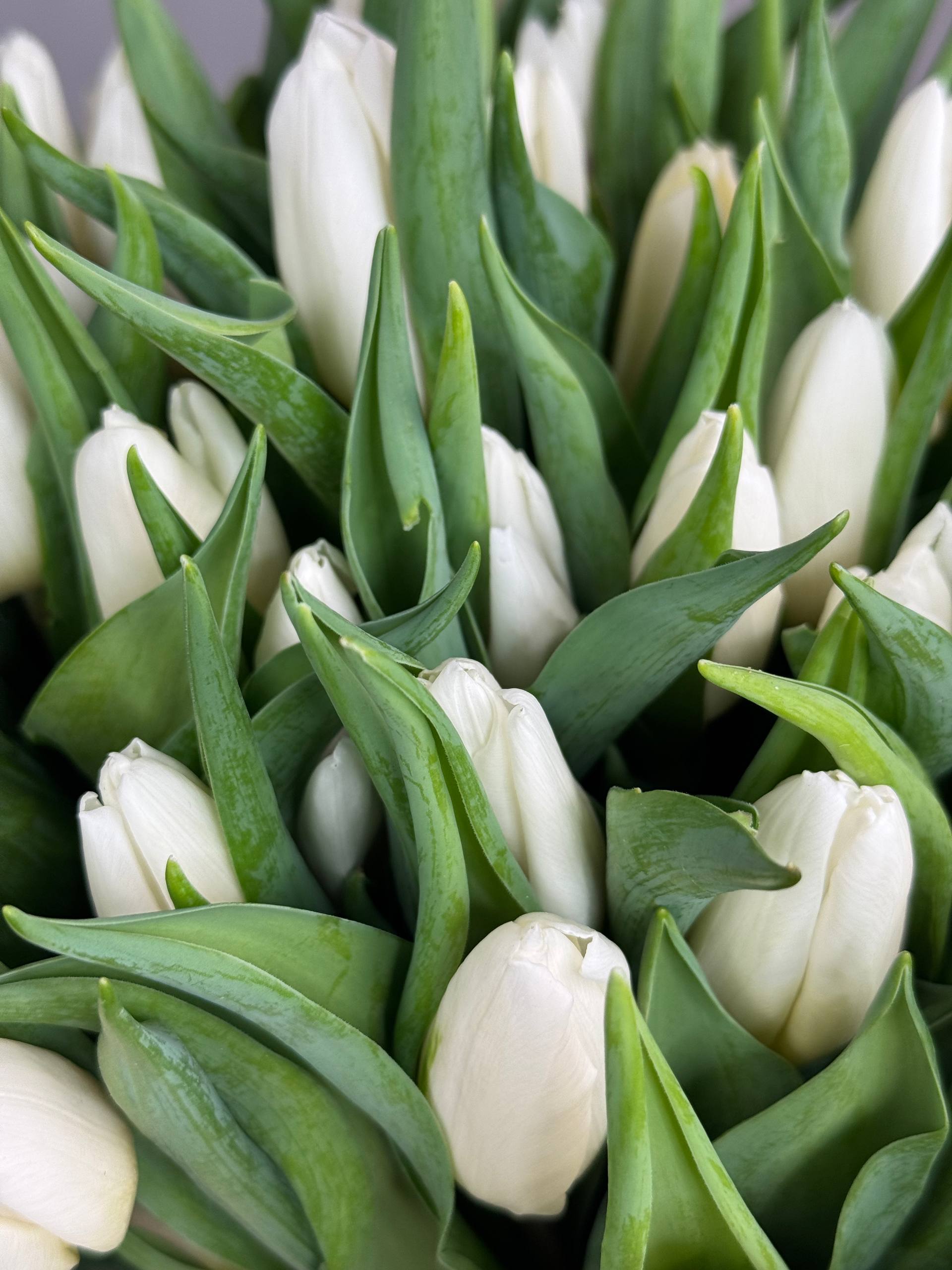 photo_2026-01-14_11-29-56