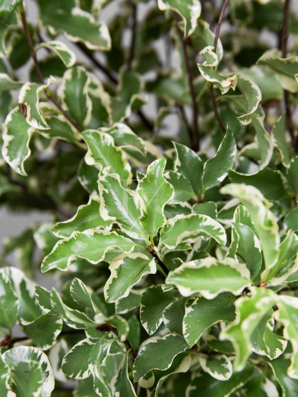 d570ef76-9601-462d-9c06-c31803907912