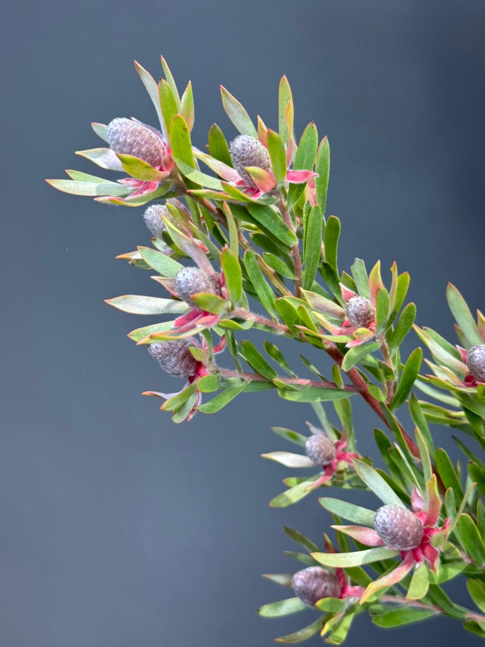 87c99a26-14ef-4e6b-9aad-6fb2fbac0c12