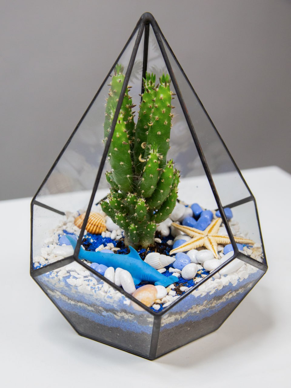 422f1cc6-682f-4459-a419-623ee6525e24