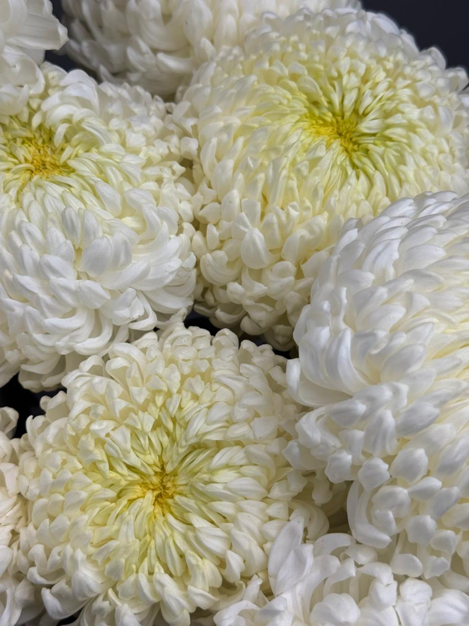 6772e569-6caf-4175-a81e-1ee8513e541d