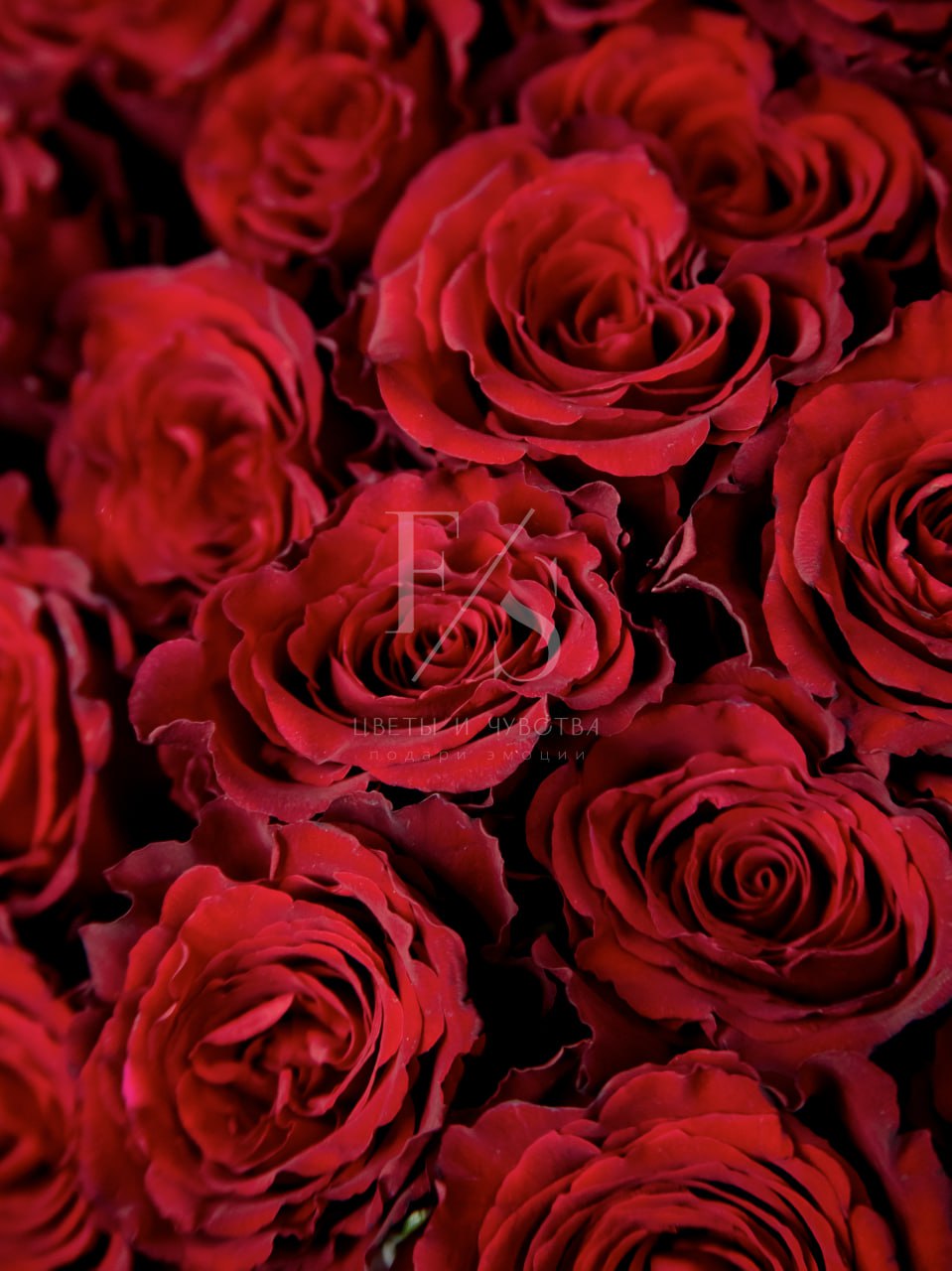 133489e9-8d51-461f-9314-68721b710d0c