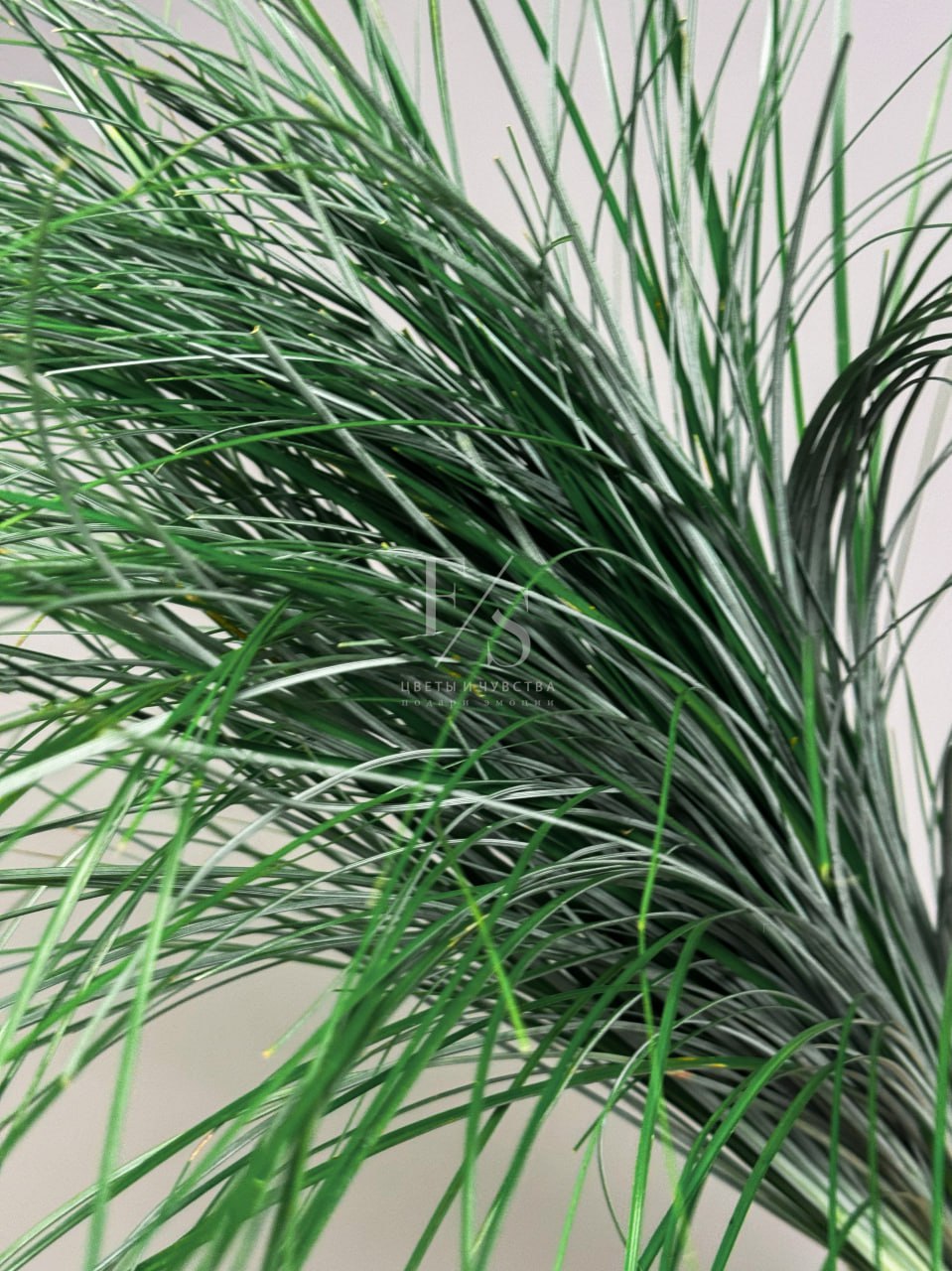 6a5e89ce-6256-4d94-b433-08589b8df303