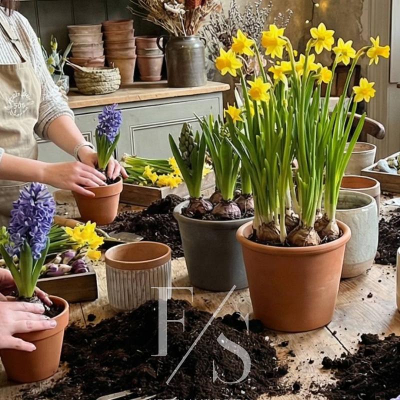 МК Композиция с первоцветами/луковичными