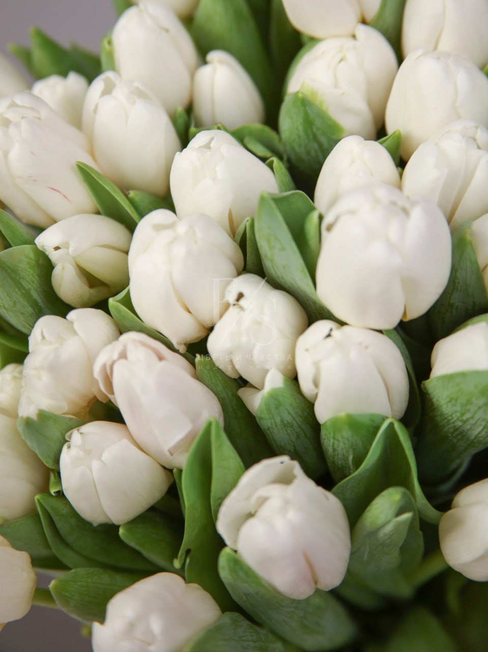 ec66b356-25bf-4abb-ae03-b051a3eaf306