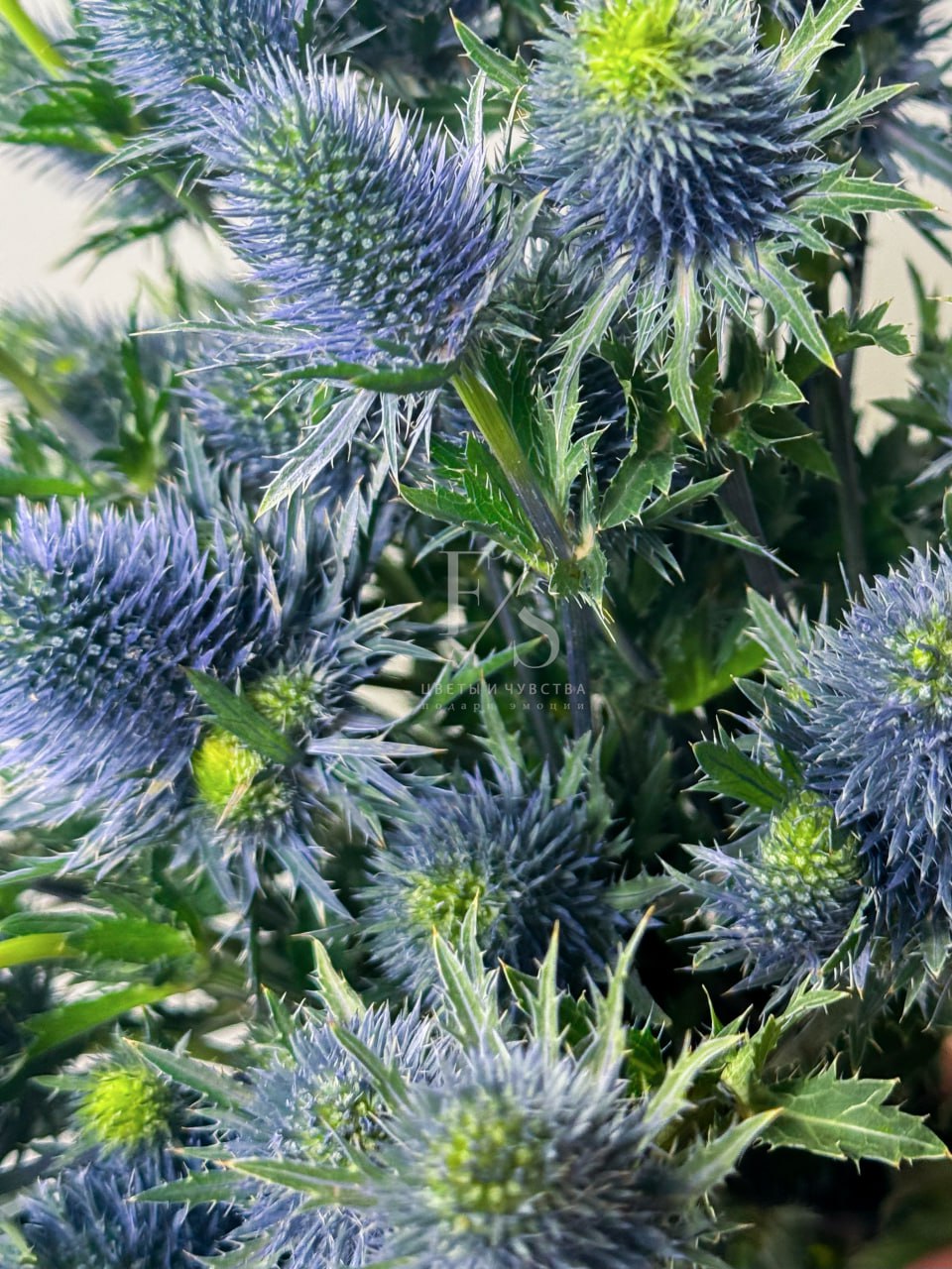 3cb38645-37c9-4527-aab1-a6c03a720ad2