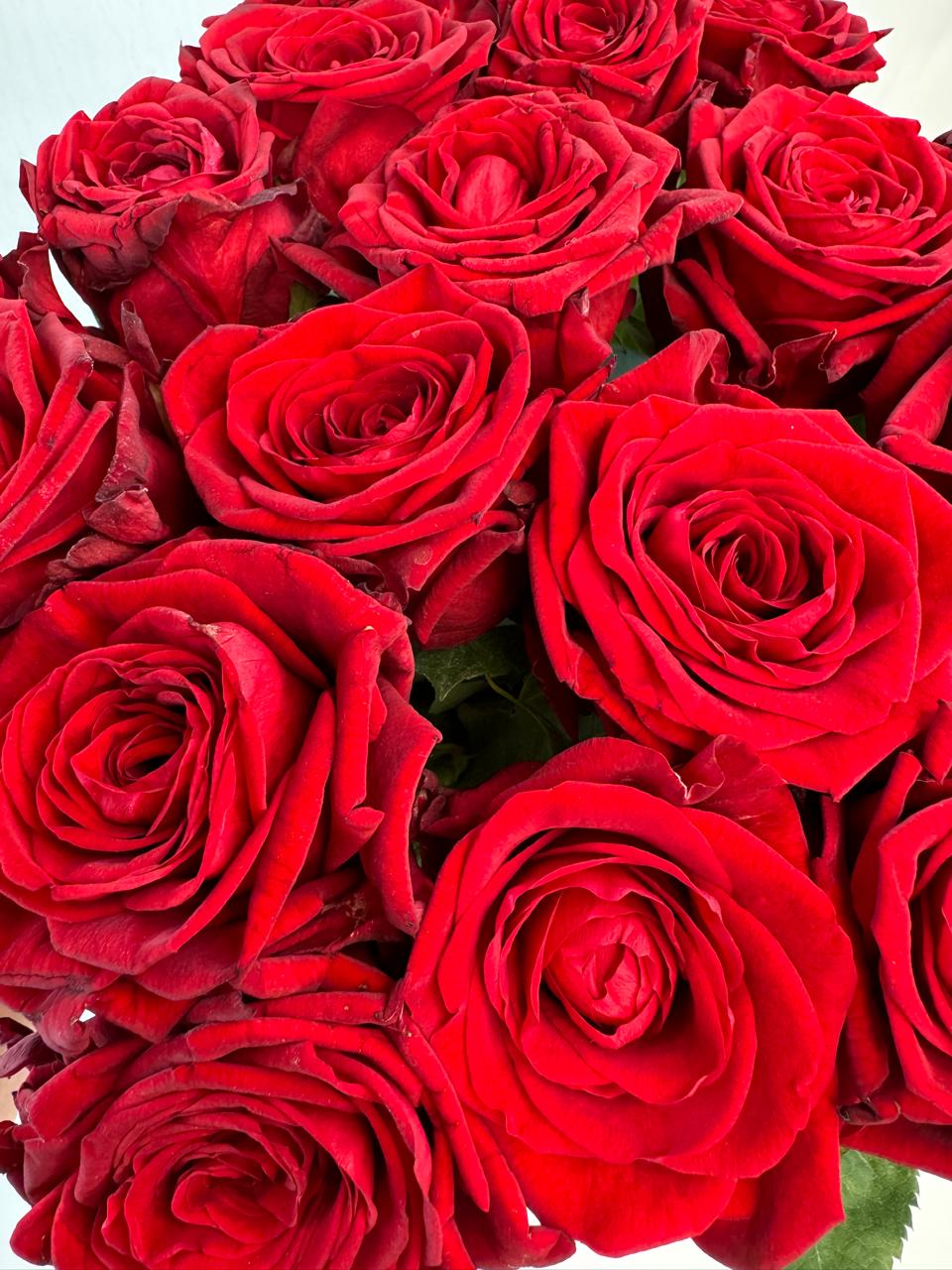 73150ebc-1666-4e16-938f-01f639655286