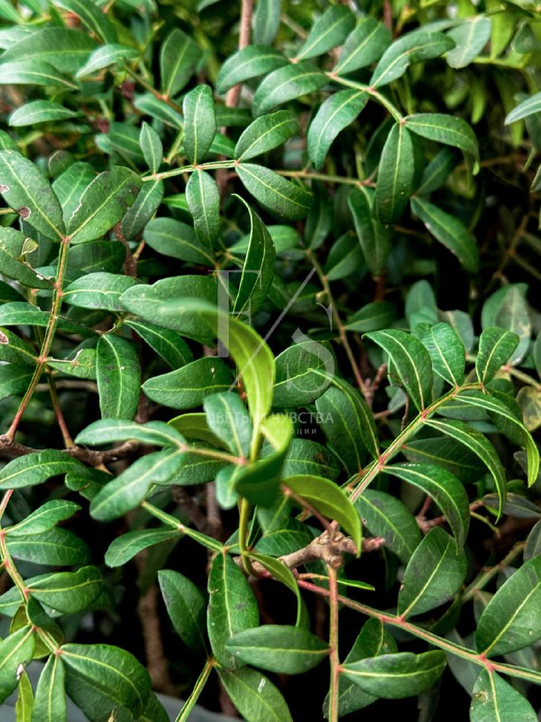 ab1ecf88-7956-4d72-a60b-a68d1abceab4