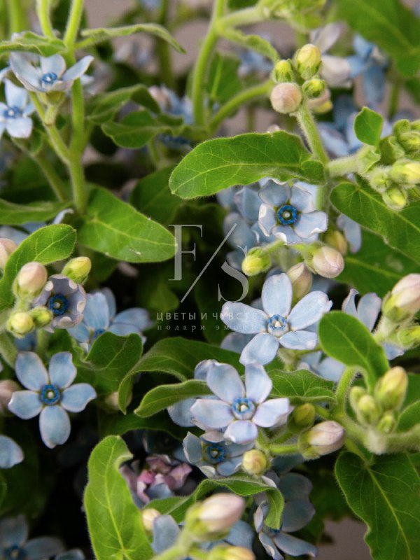 946f5569-90bc-4153-b66c-92ab96fc2770