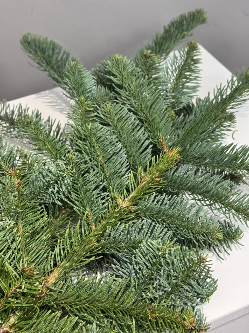 0e16249a-e450-4331-a7d2-ec4e3be976e7