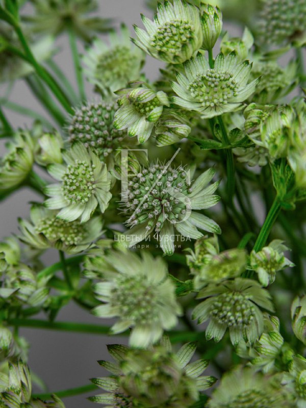 459787ef-6590-48f1-9b70-c926026191e8