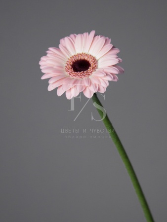 97c7114c-315f-4d41-ad4d-f7e88db88a26