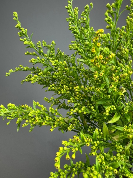 84b294a2-1ba6-4665-a376-8de5eb091a17