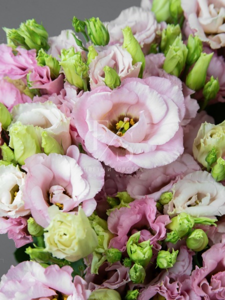 84c0c2bc-23e4-43a5-bcec-ac8ddeb84887