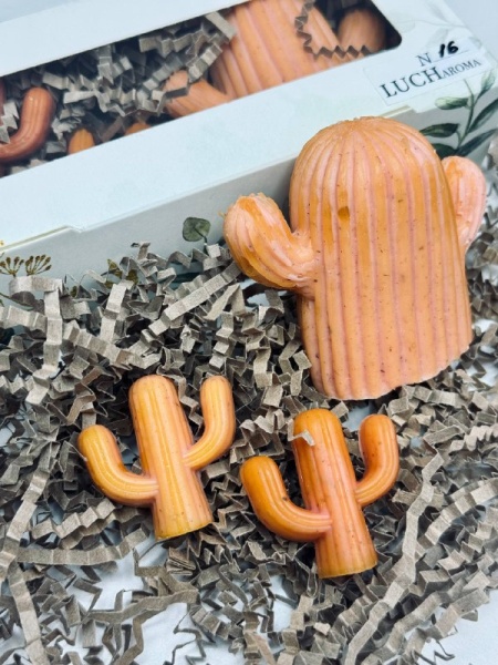 Мыльная история. Набор фигурного мыла Кактусы