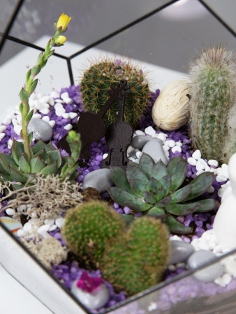 Флорариум Мелодия души  (2)