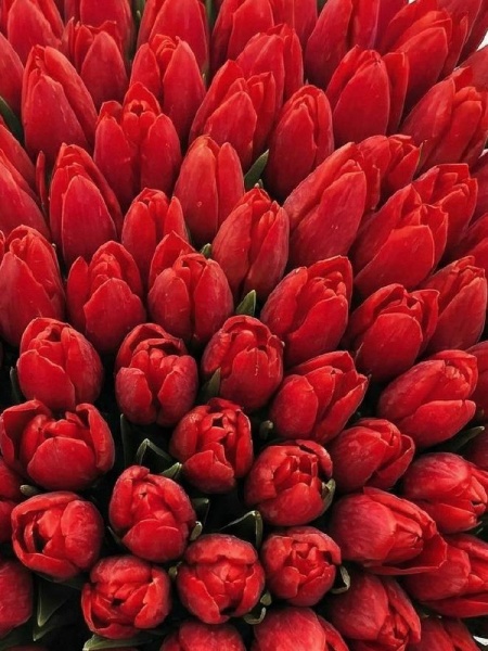 d67e4d71-1822-4d3b-a44f-6078f0a2e6d7