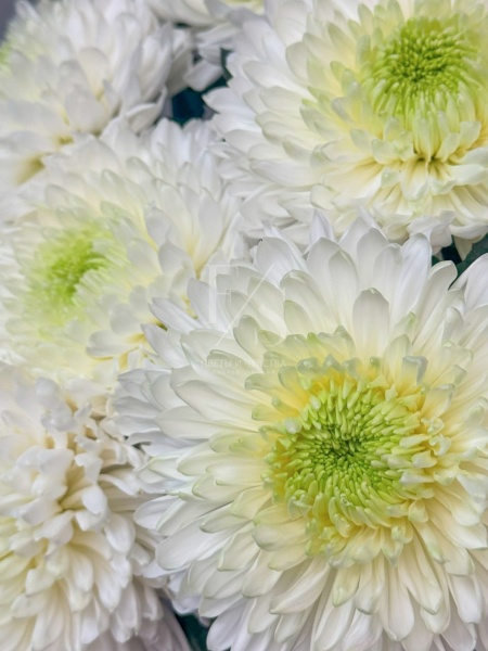 b25d44d4-ce3f-42fd-a38d-69a9c3c39829