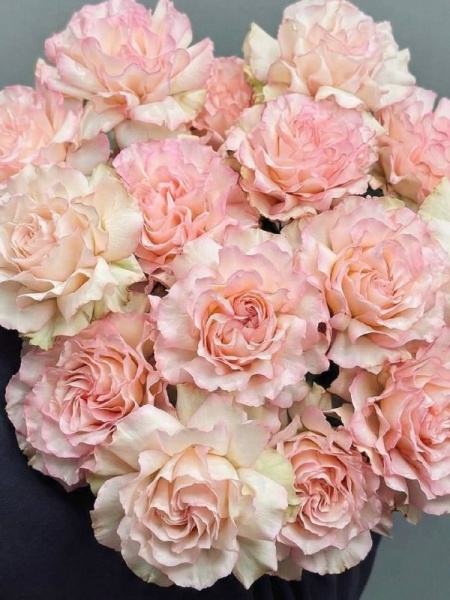 61f591ed-62e0-467d-a802-d648fc89e448