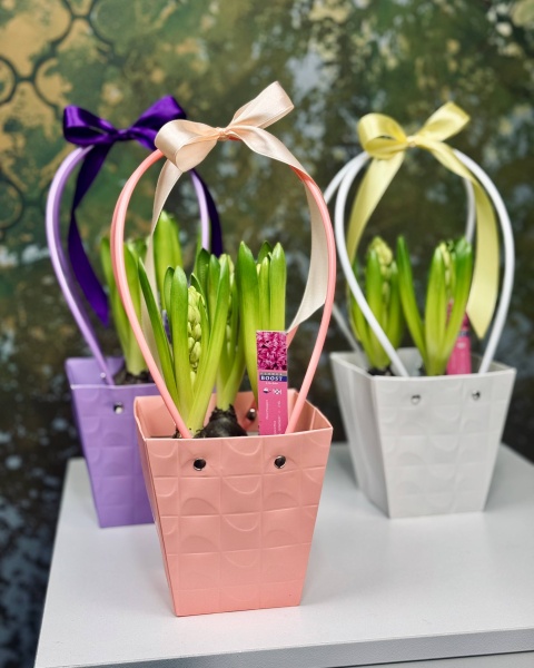 70b598e7-aeb6-4af9-8ec2-f485ff05fb2f