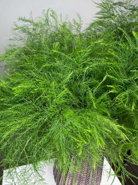 8800d21e-a0be-4e4c-b7b2-bdd1f5b1fbdc