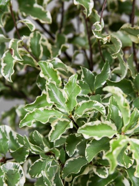 d570ef76-9601-462d-9c06-c31803907912