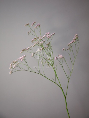 b82346a1-3eb6-41c4-872f-5d244000e7b4