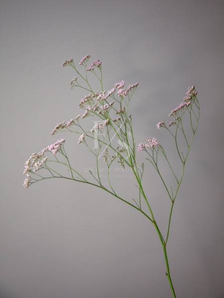 b82346a1-3eb6-41c4-872f-5d244000e7b4