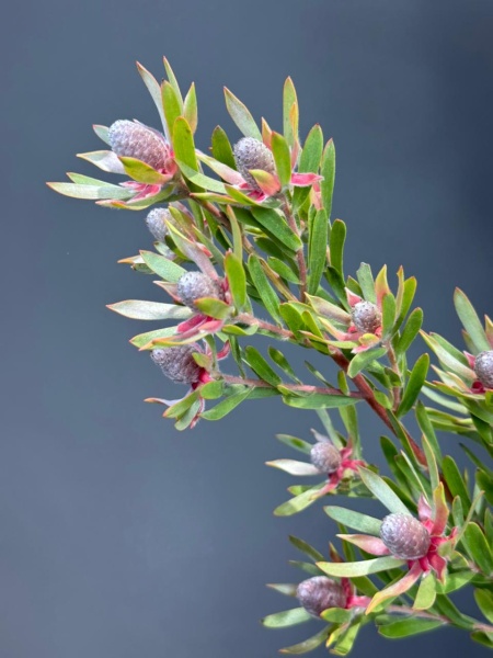 87c99a26-14ef-4e6b-9aad-6fb2fbac0c12