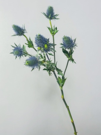 b8789df1-471d-4290-8a68-7d4fb3295e8f