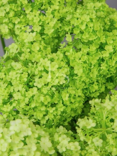 df059ad0-b253-42c5-9d0c-b20ff16b0e6a