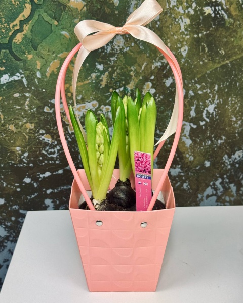 bfd31ae8-2e55-45de-a0fe-30fe6684aace