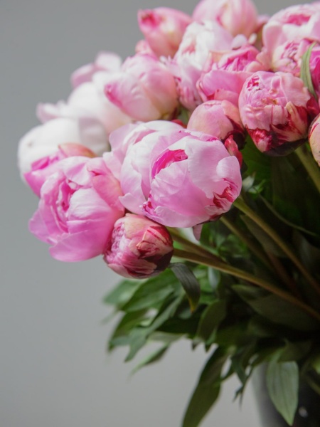 02f5dd07-8657-44f9-88ac-05acdb8a0337