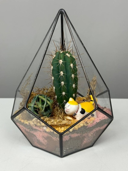 b7dc9eb1-3c62-4c10-80f5-4949eb244cb2