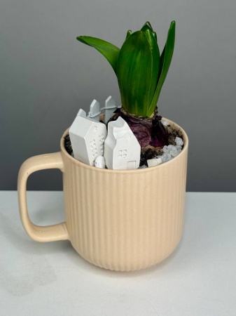 Композиция с первоцветами в чашке с гиацинтом. Гиацинт в городе М (4)