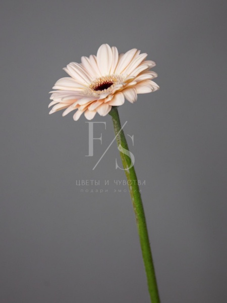 5dc0b70c-f38e-43a8-8850-1920fcd50d90