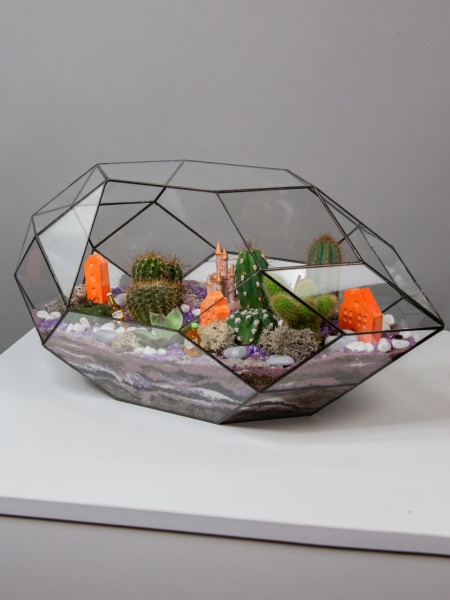 Флорариум Дикий Запад (2)