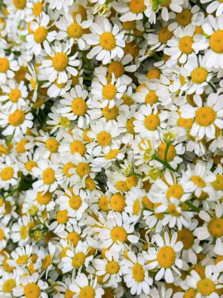 0193dcc5-0bdf-438d-841f-6a0b9ac37d5e