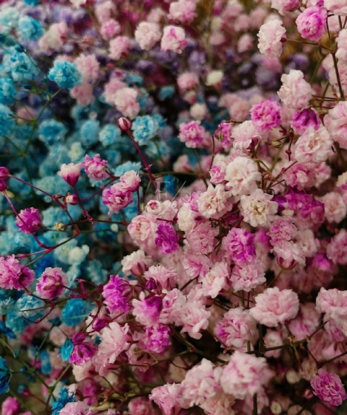 b35b71a5-db11-438e-8c0b-62a38f715f59