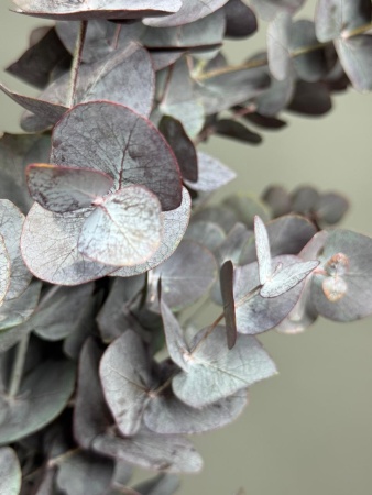 870c550e-6efc-4e2e-8465-ca6834e0cc12