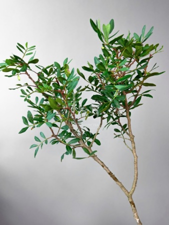 f19a3a1d-68de-4185-97f3-a0d91e69e0b7