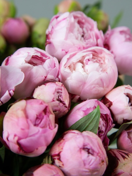 9a4994ec-893f-489e-96e0-bc37beba7ca3