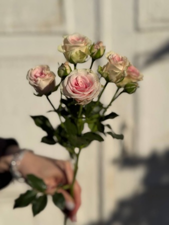 photo_2026-03-23_16-32-35