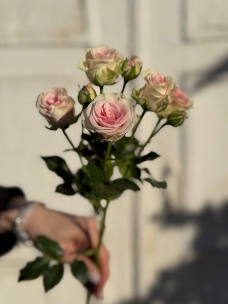 photo_2026-03-23_16-32-35