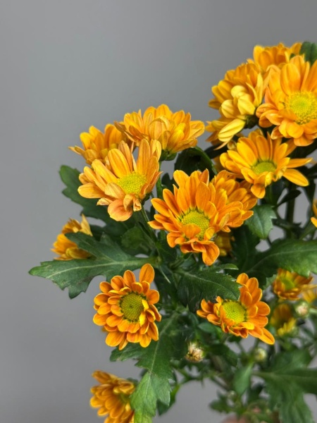 01aad1ae-dd3f-4ce0-a763-2eeda831024d