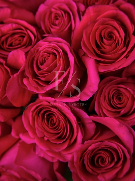 ae2f2ef5-5661-485c-9b3b-8d025279efe4