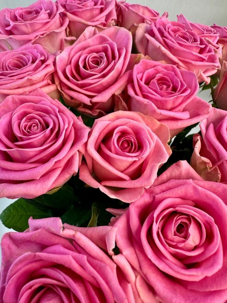 18dac7ce-9de9-4fee-a42f-e3f8beb41738