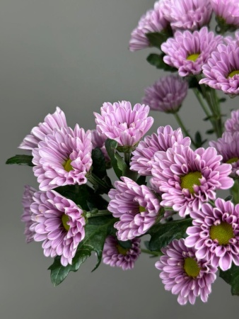 6333fbc3-7b33-4350-88cb-d170c1ce9171